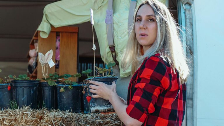 Quand et comment couper les stolons des fraises pour les replanter ?