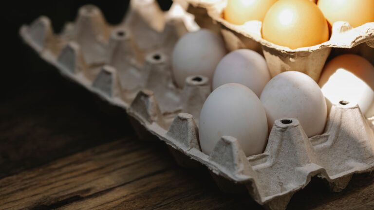 Quelles sont les caractéristiques des œufs de catégorie a ?