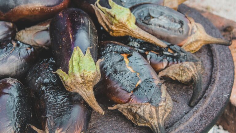 Aubergines grillées au four à l’italienne : recettes simples et savoureuses