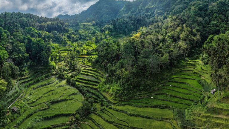 Découvrir Sidemen Bali : un joyau caché entre rizières et montagnes