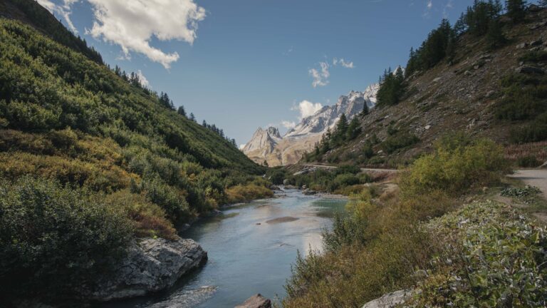 Découvrir la vallée bleue : un paradis naturel à explorer