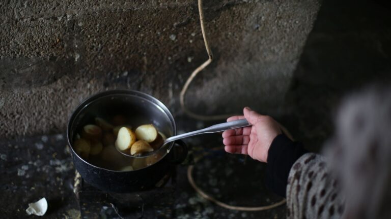 Comment bien cuire les pommes de terre pour une salade parfaite